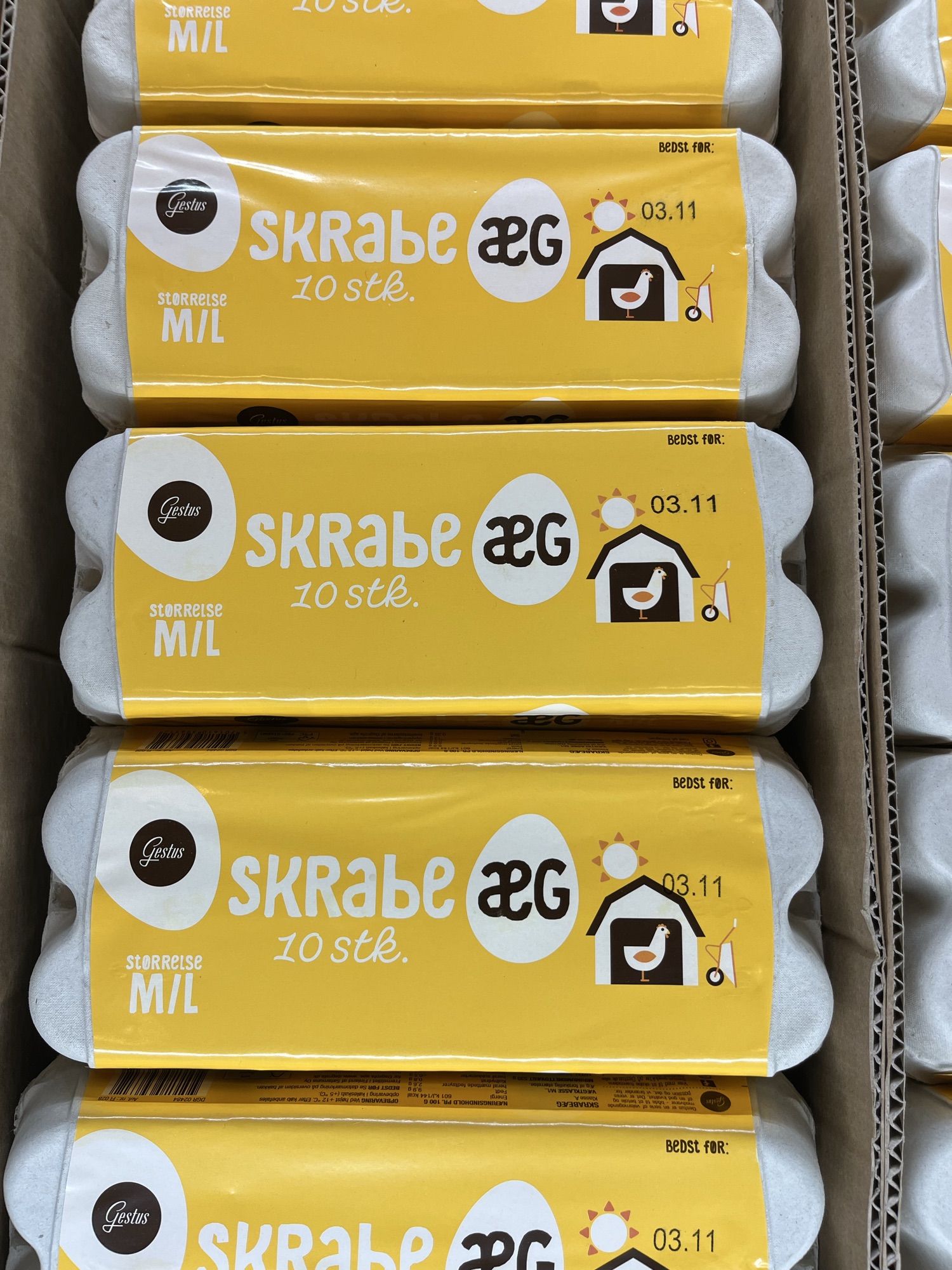 10 stk æg