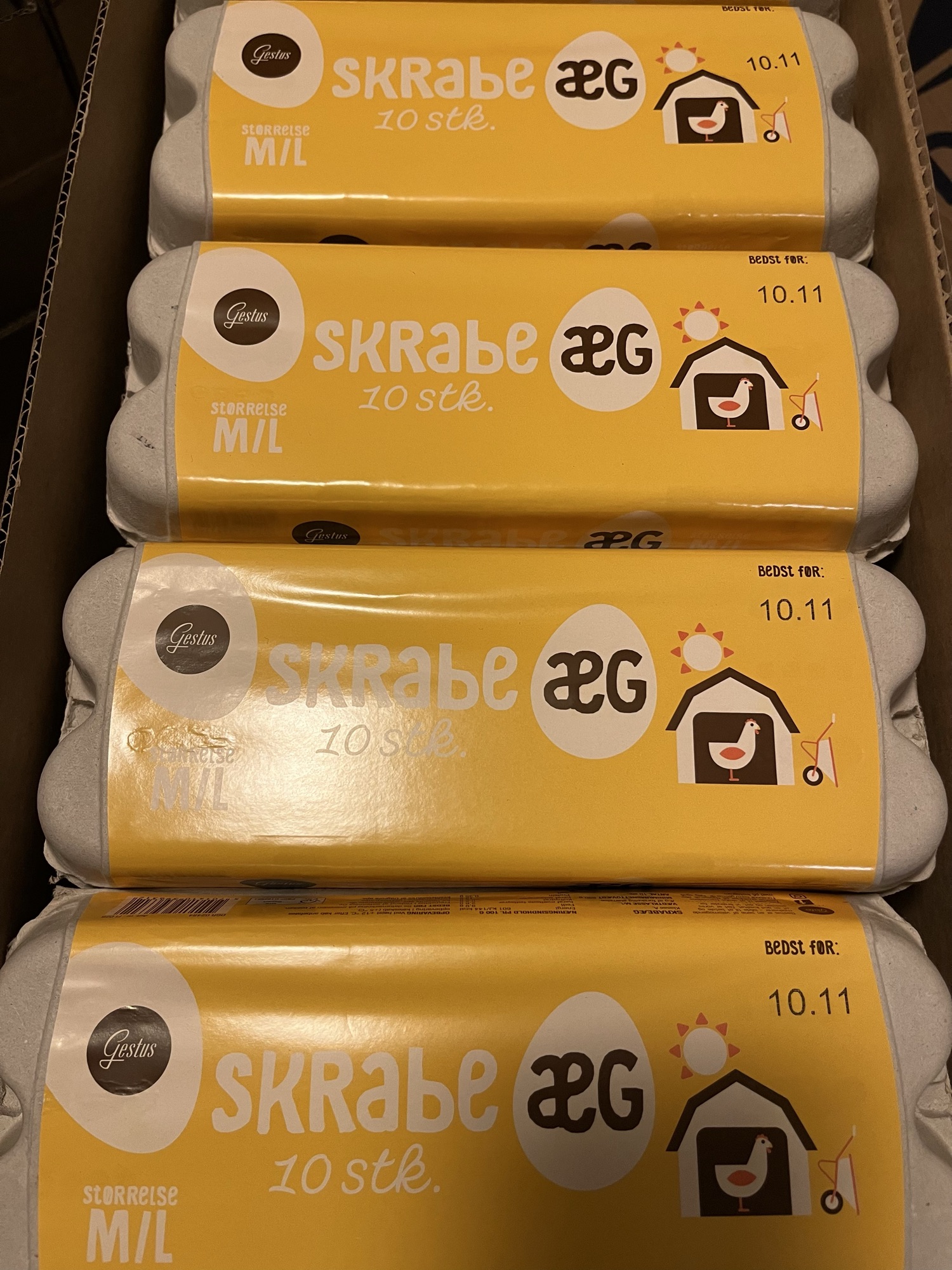 10 stk æg